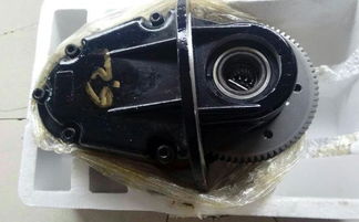 西安电动汽车配件市场 河北价格合理的丽驰电动汽车配件批发销售与饰品